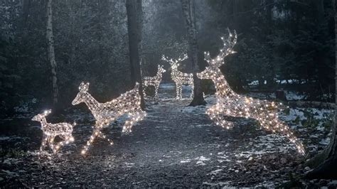 lights4fun|lights4fun usa.